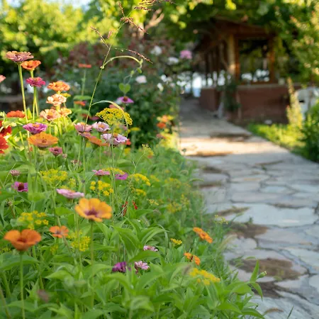 Ova Butik 招待所 Mesudiye (Datca)
