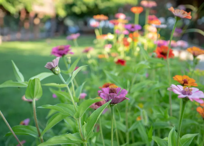 Penzion Ova Butik 3*